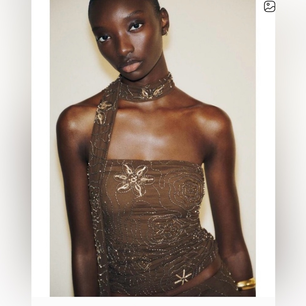 Zara Brown Beaded Foulard Top